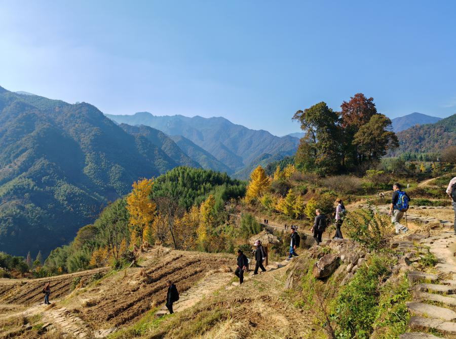 1763442777354102p6B8.jpg IMG_20251116_133200.jpg